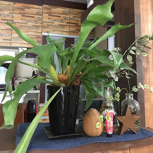 Dyさんの実例写真