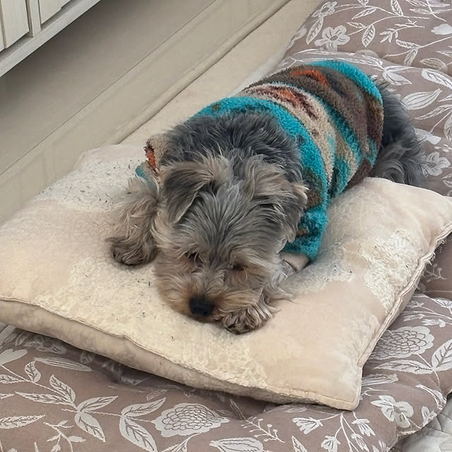 oceanさんの部屋