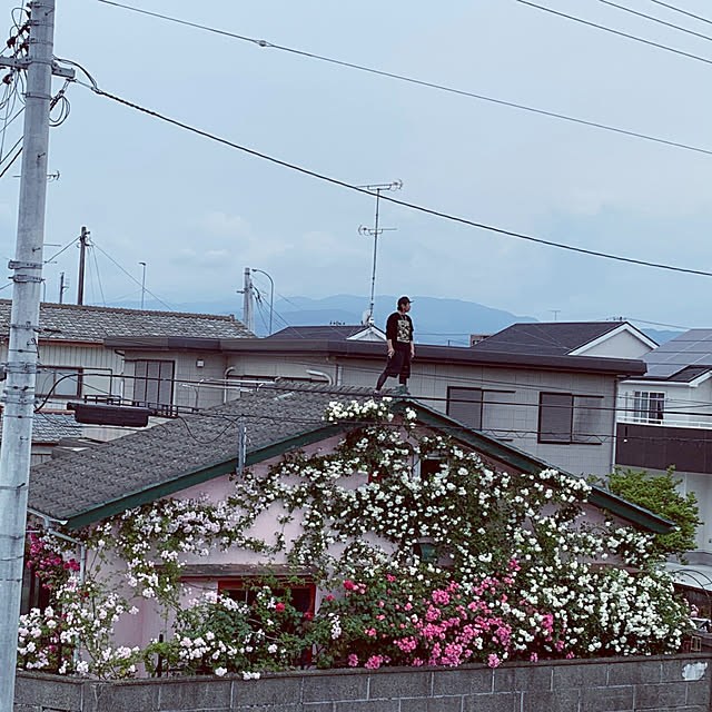 ganamiさんの実例写真