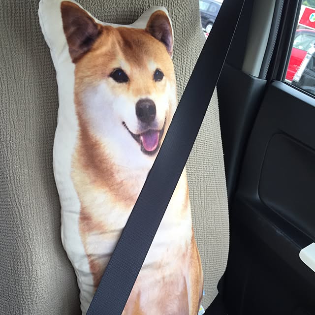 meruさんの実例写真