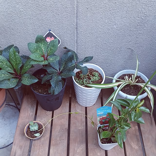 hiro.904さんの部屋