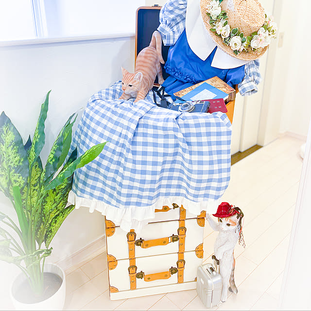 farekananiさんの実例写真