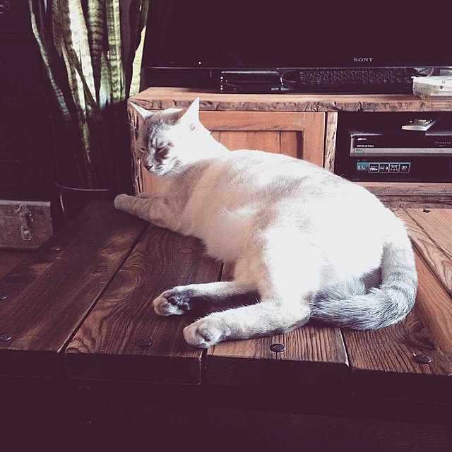 Naoki.さんの実例写真