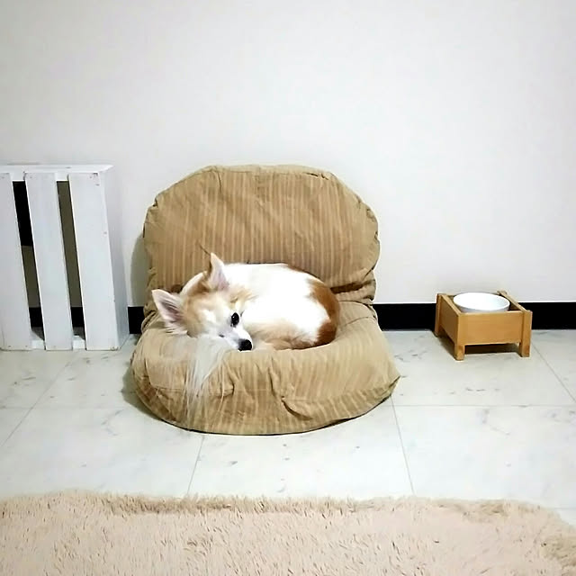 nonさんの実例写真