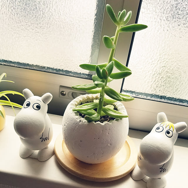 m.papaさんの実例写真
