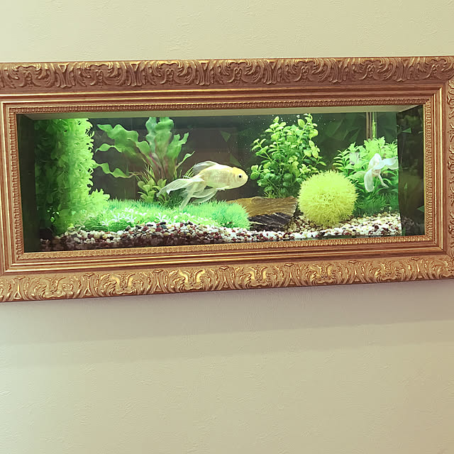 BamBoooooさんの実例写真