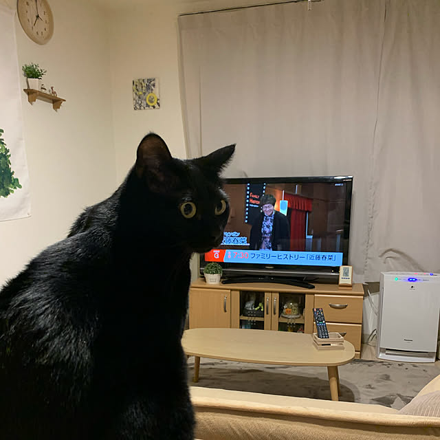 Machikoさんの実例写真