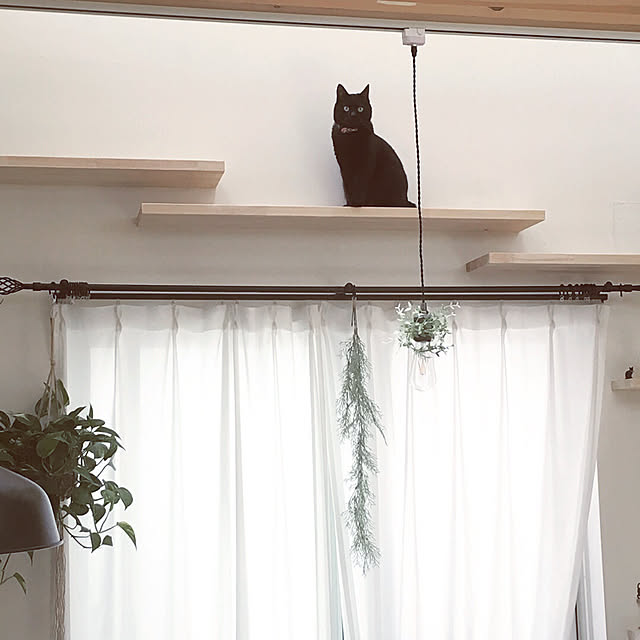 neco_mammamiaさんの実例写真