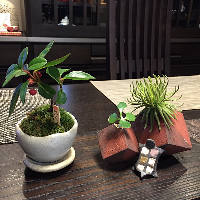 実例写真