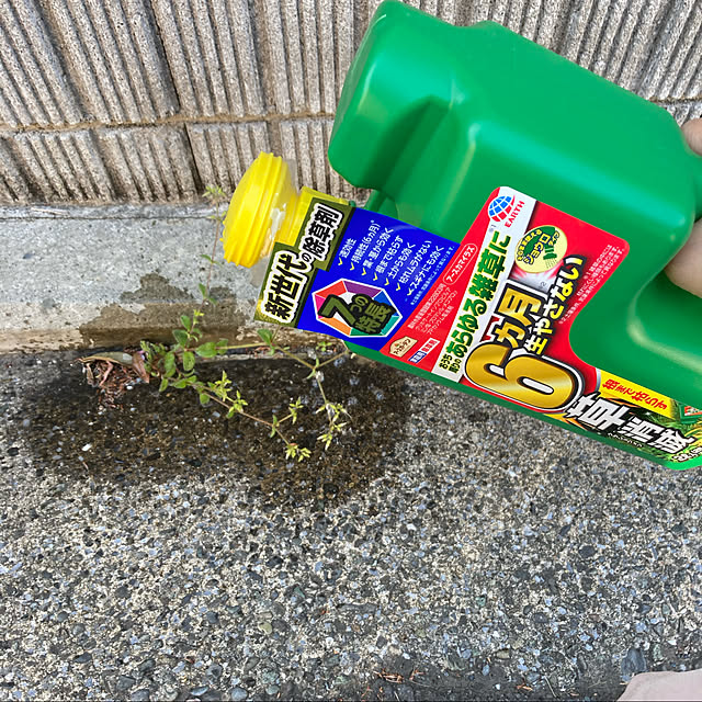 sansankikiさんの実例写真