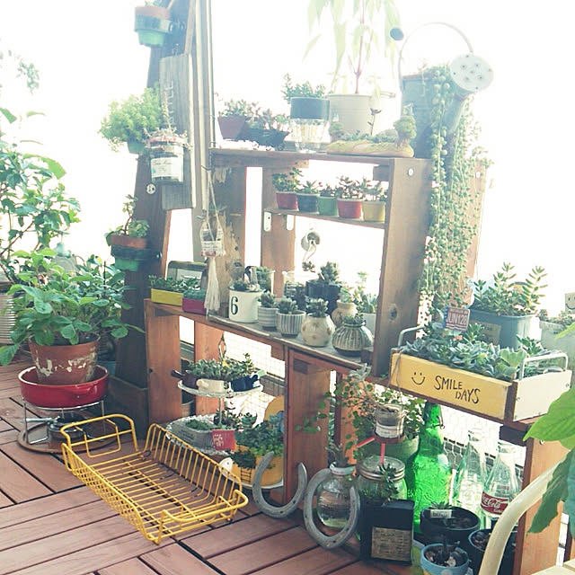 sakusakuさんの実例写真