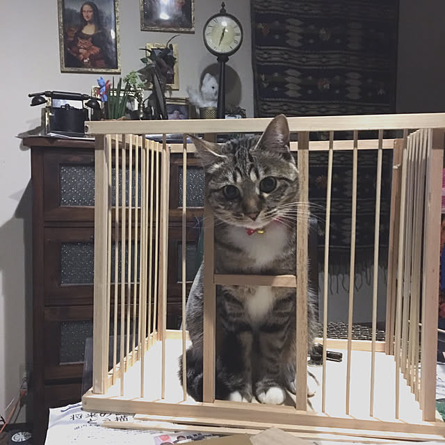 shigimiさんの実例写真