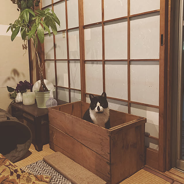 mi88888さんの実例写真