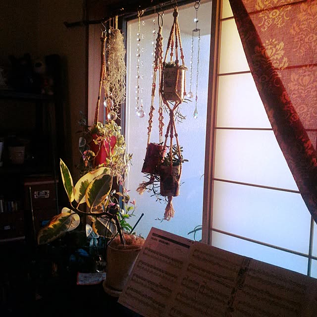 aoi01さんの実例写真