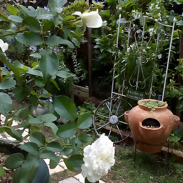 mariagardenさんの実例写真