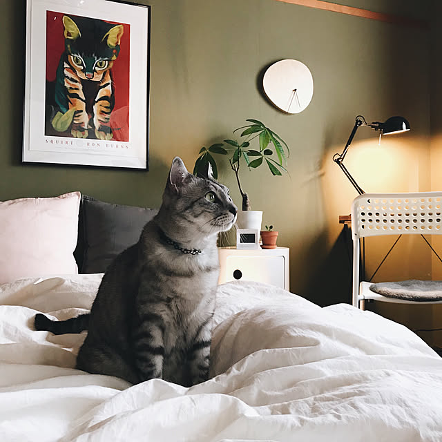 ineko_kさんの実例写真