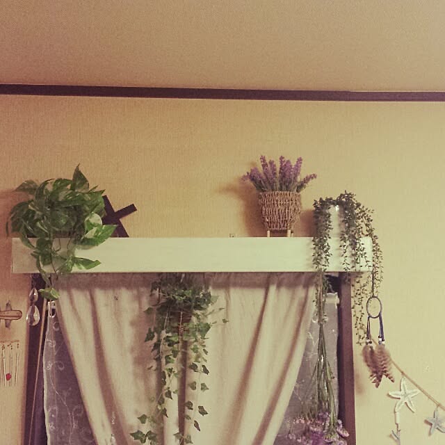 Naomiさんの実例写真