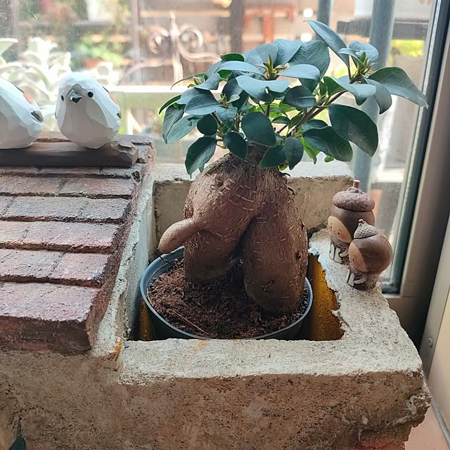 teamoさんの実例写真