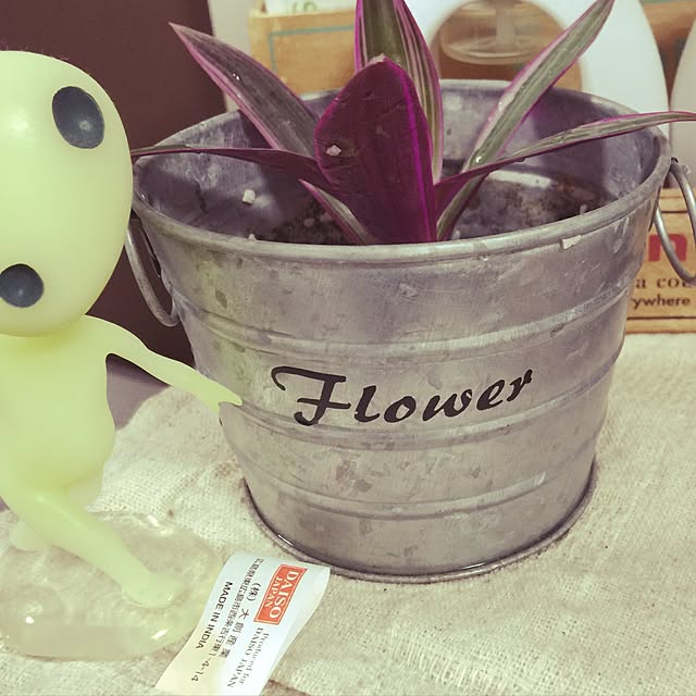 anさんの実例写真