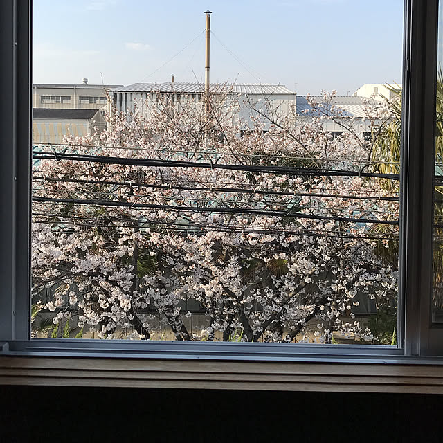 alchoさんの実例写真