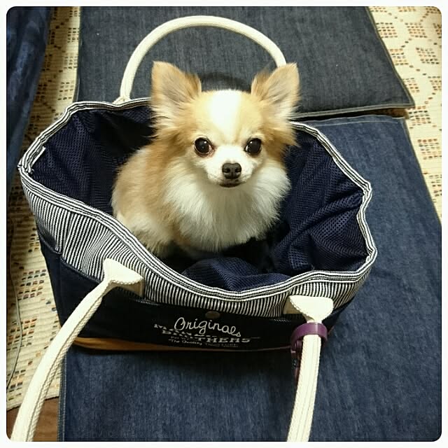 porinさんの実例写真