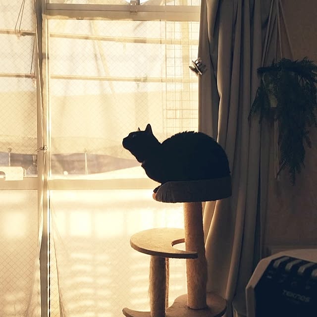 Tさんの実例写真