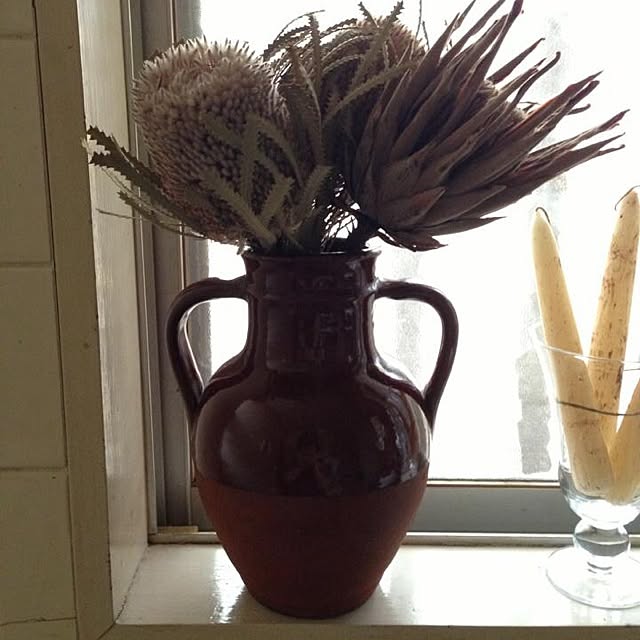 キッチン/アンティーク/古いもの/植物のインテリア実例 - 2014-04-20 15:54:26