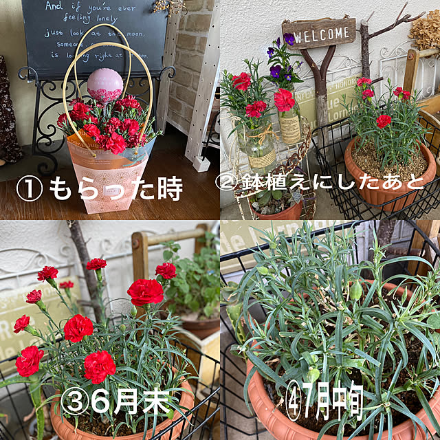 mamiさんの実例写真