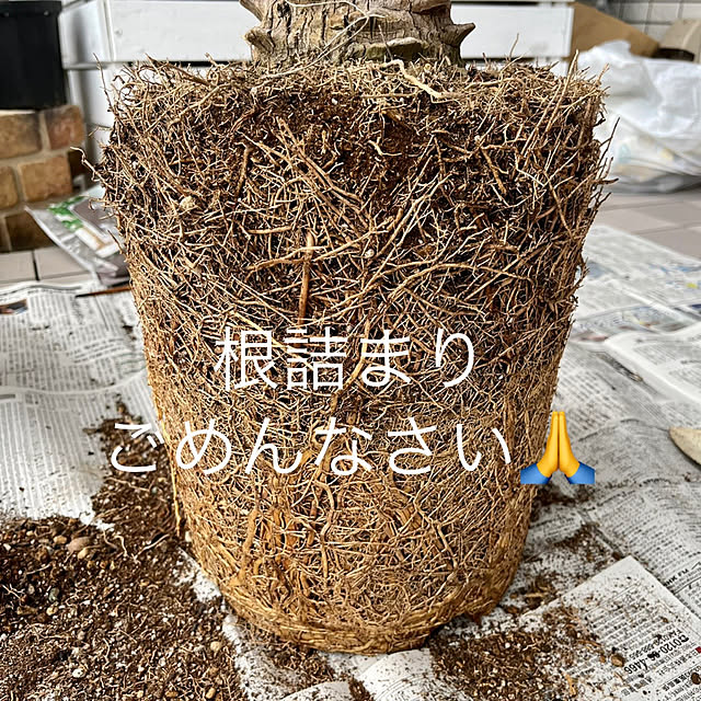 amさんの部屋