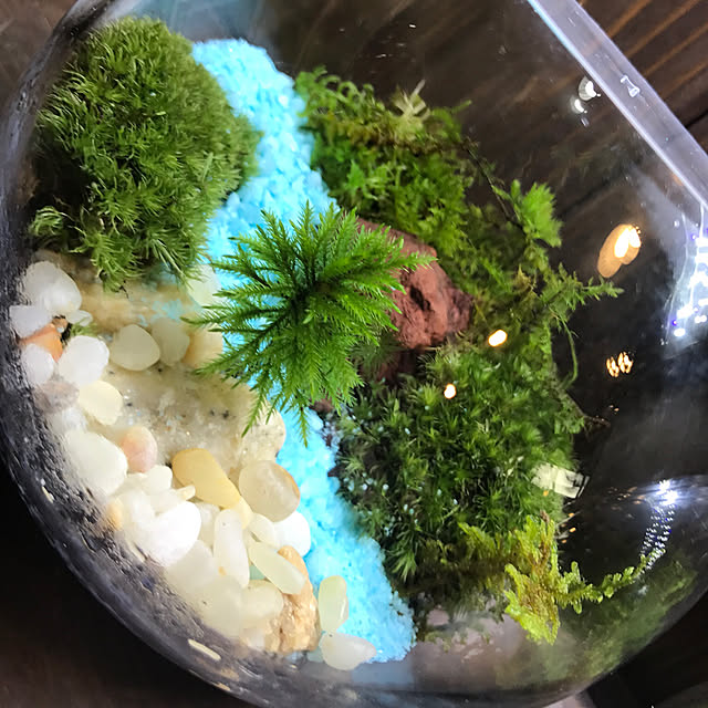 Hacoさんの実例写真