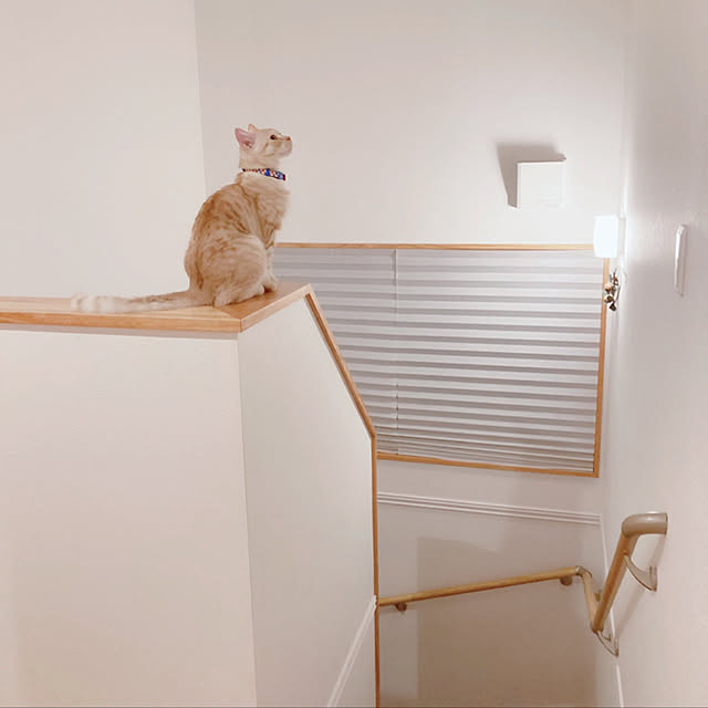 m.k.mさんの実例写真