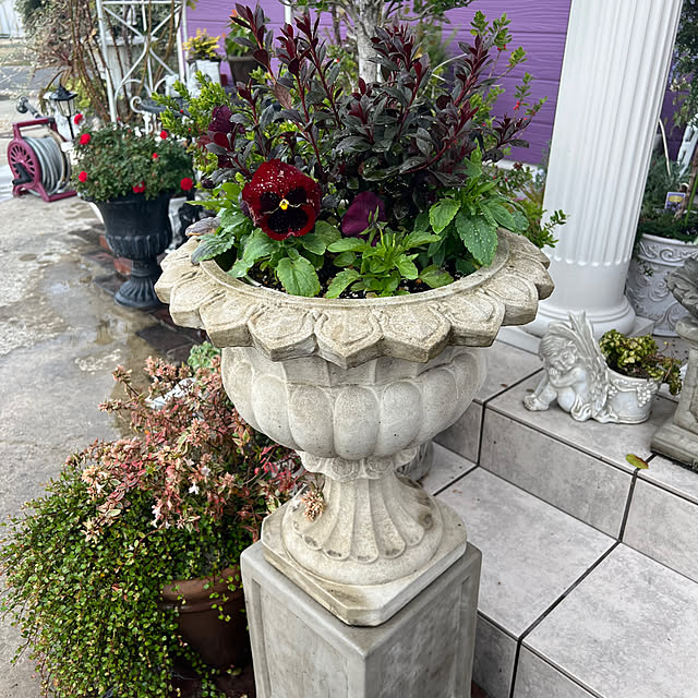 AYUKOさんの部屋