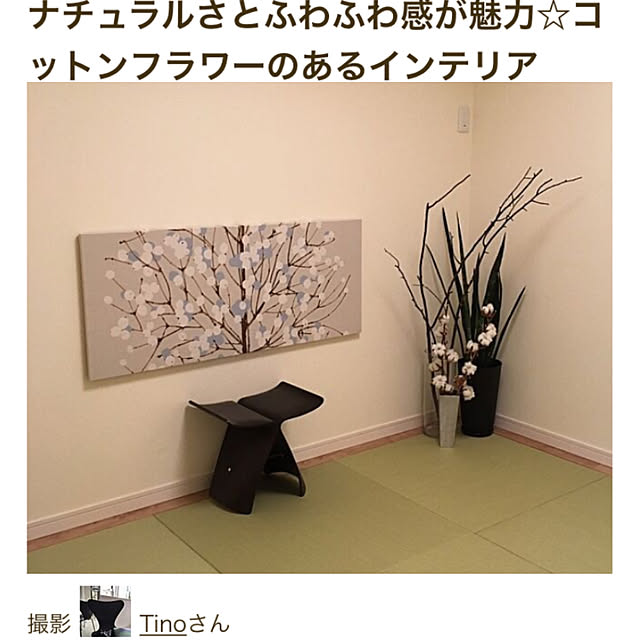 Tinoさんの実例写真