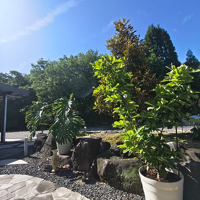 Rubiconさんの部屋
