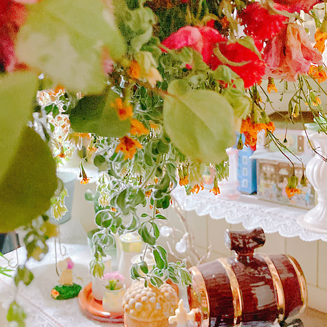 Hanakaさんの部屋
