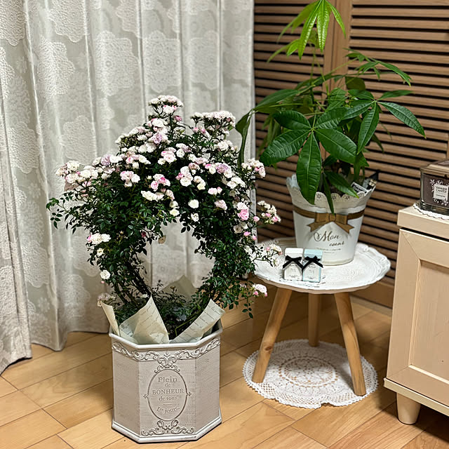 maayaさんの部屋