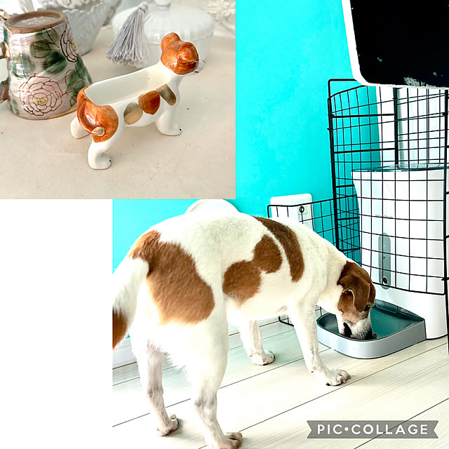 kittyさんの部屋