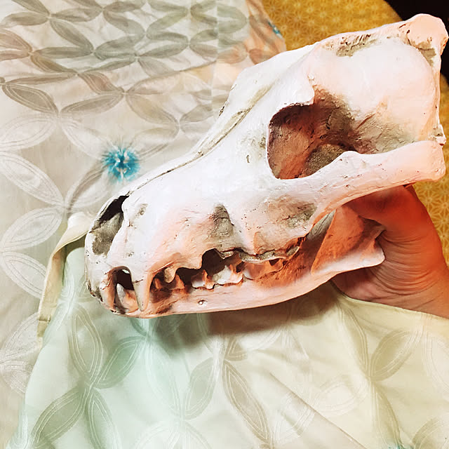 takakuzenさんの実例写真