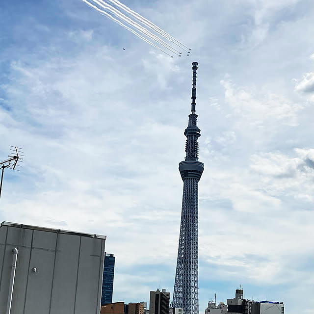 実例写真