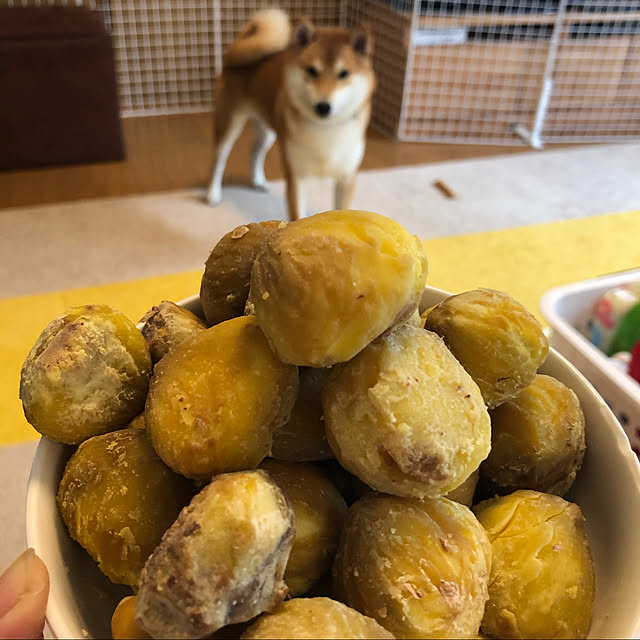 ryu-pinoさんの実例写真