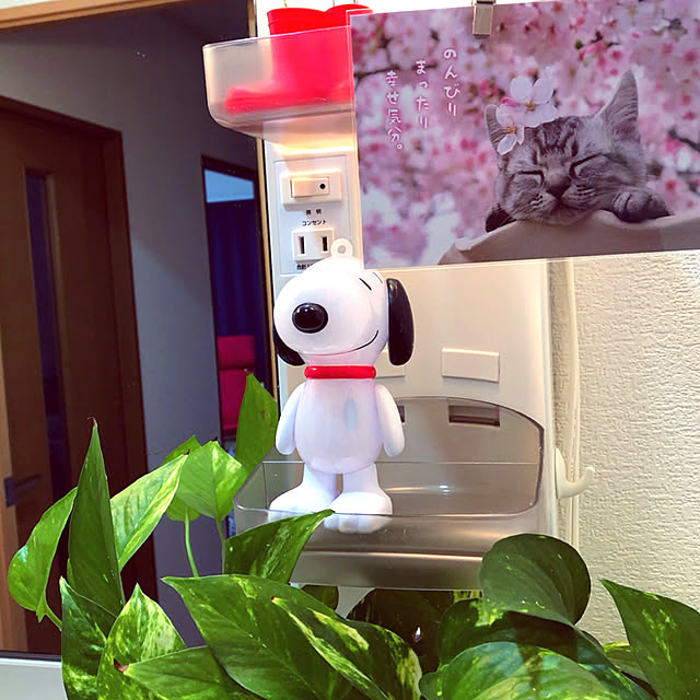 koyuriさんの実例写真