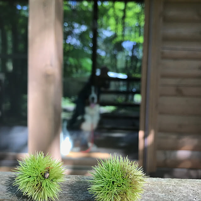 nanawansさんの実例写真