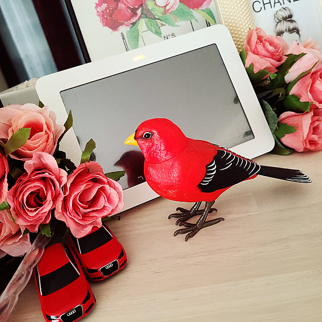 r0siereさんの実例写真