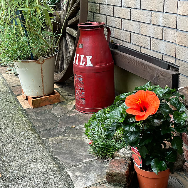 実例写真