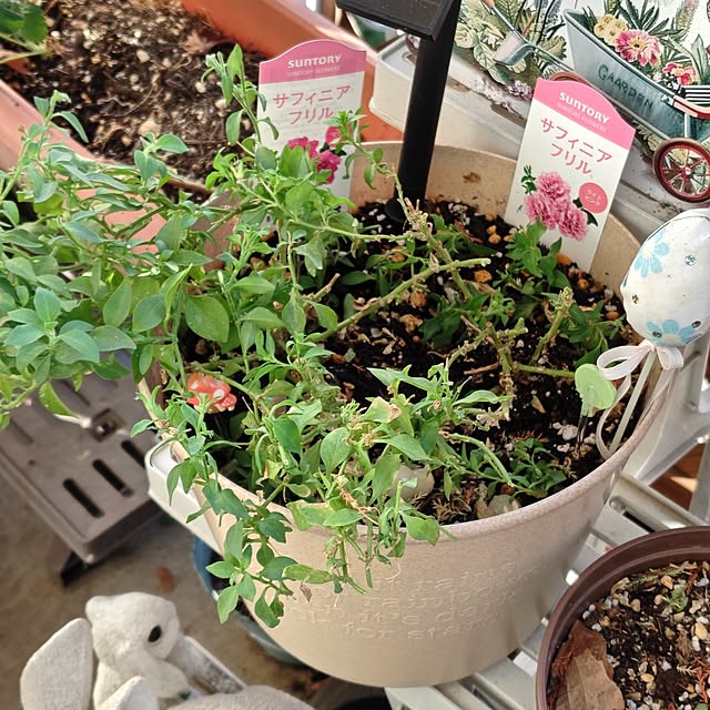 mariaさんの部屋