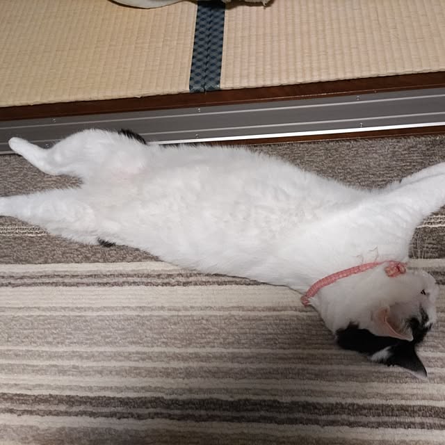 yuuさんの部屋