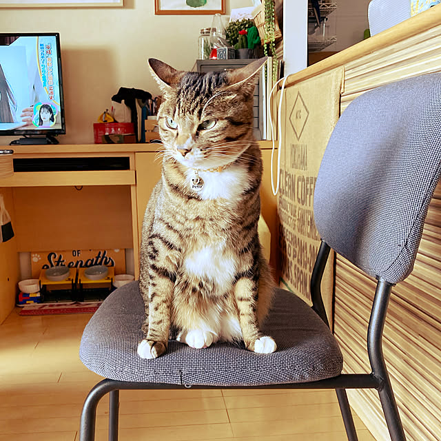suemonta14さんの実例写真