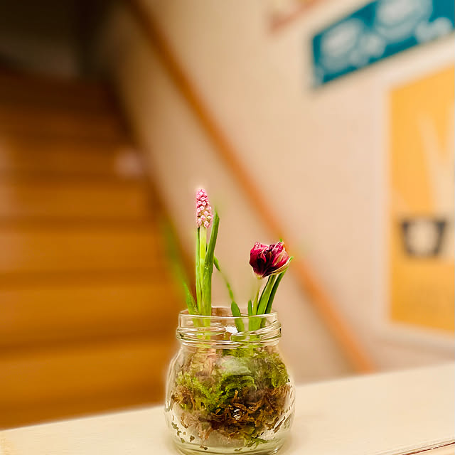 satominmomoさんの実例写真