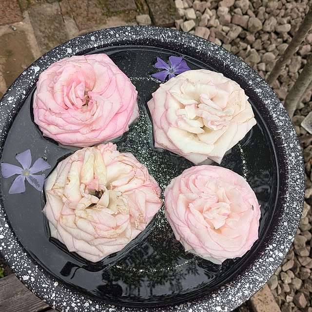 mm3さんの部屋