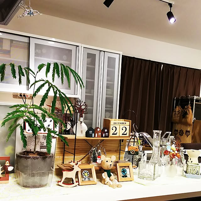 KOHAKUさんの実例写真